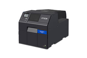 Epson C6000