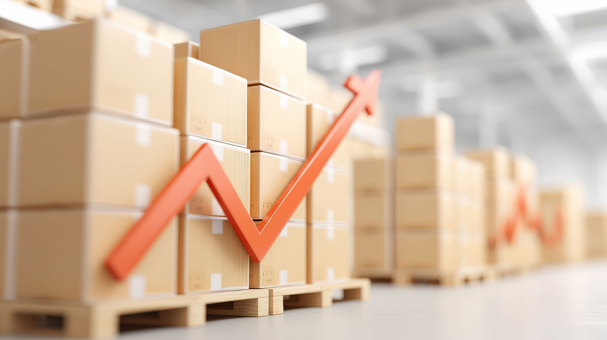 In-Depth Analysis of Warehousing and Distribution Logistics Trends