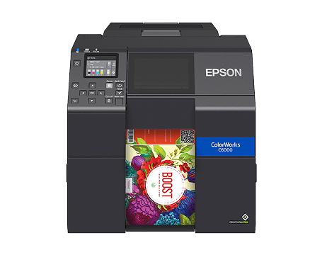 Epson C6000