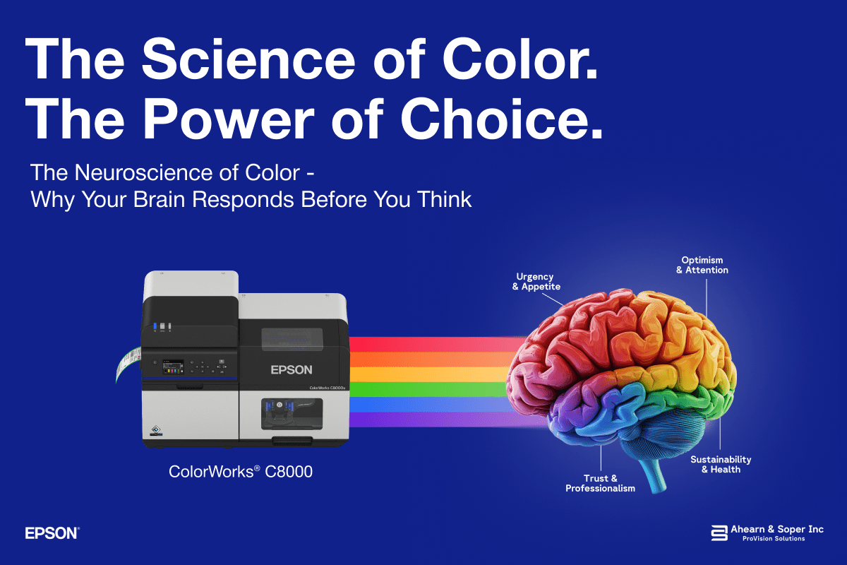The Science of Color. The Power of Choice. The Neuroscience of Color – Why Your Brain Responds Before You Think